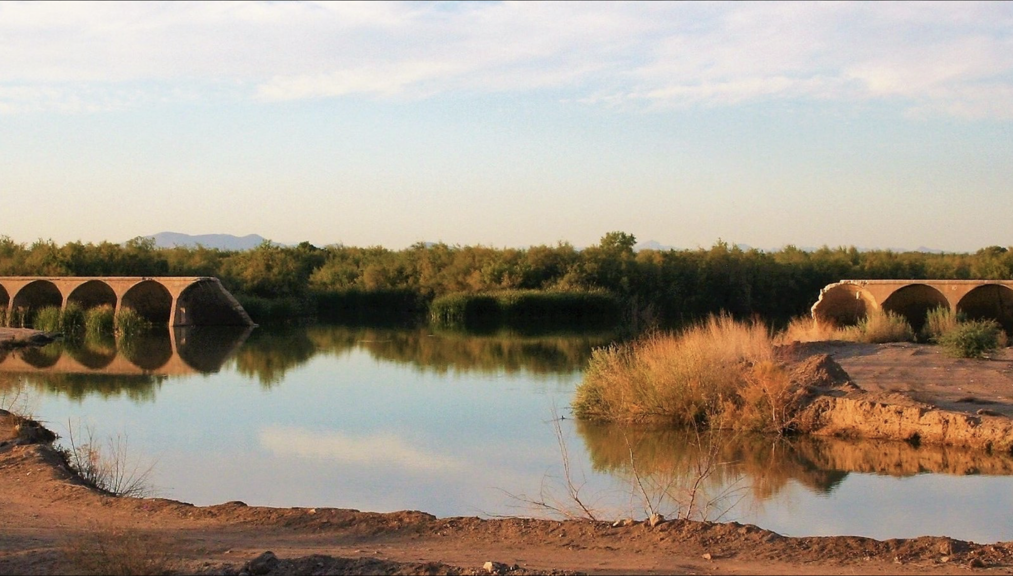 Water flowing through the Lower Gila River with scattered trees and bare earth.